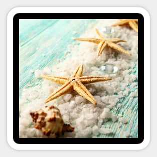 Starfish and Sea Shell Sticker